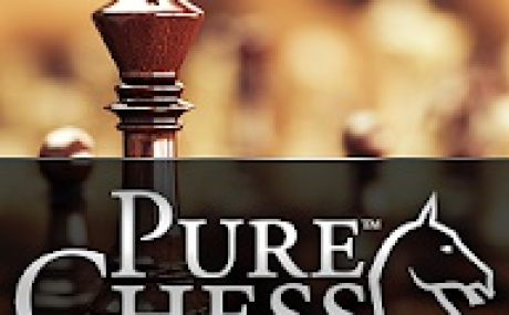 PURE CHESS 1.3