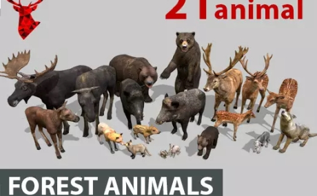 Forest animals 1.0