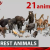 Forest animals 1.0
