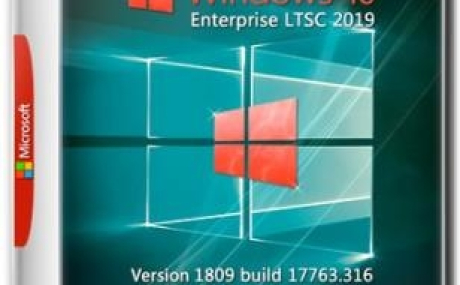 Windows 10 Enterprise LTSC 2019 17763.316 Version 1809 x86/x64 [2in1] DVD
