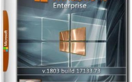 Windows 10 Корпоративная 1803 (17133.73) x64 by IZUAL