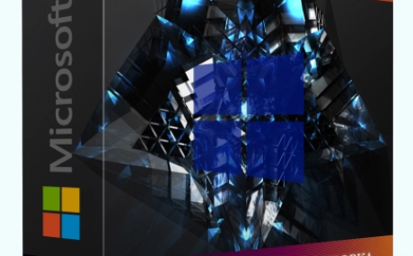 Windows 10 Pro 22H2 19045.3086 x64 Stable by WebUser