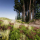 Advanced Foliage Pack 2.0