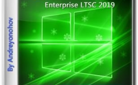 Windows 10 Enterprise LTSC 17763.195 Version 1809 2 DVD диска