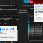 Screenshot #5 - Windows 11 24in1 (вкл LTSC) +/- Офис 2024 by SmokieBlahBlah 2025.02.12