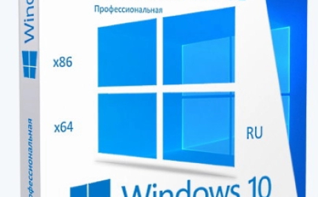 Windows 10 Professional VL x86-x64 22H2 RU by OVGorskiy 04.2024