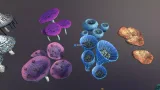 Screenshot #4 - Mushrooms pack