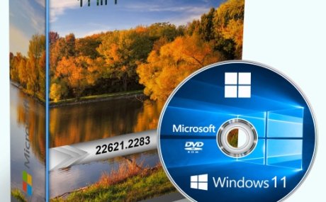 Windows 11 22H2_22621.2283 x64 11in1
