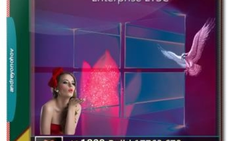 Windows 10 Enterprise LTSC 2019 17763.678 Version 1809 2DVD