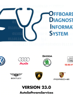 VAG ODIS Enginering 18.1.0 + Odis Service 24.1.2