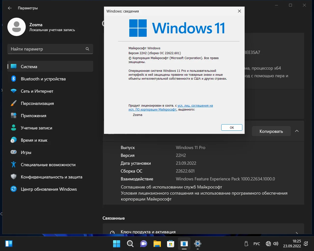 Screenshot #15 - Windows 11 Pro x64 Lite 22H2 build 22622.601 by Zosma