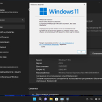 Screenshot #15 - Windows 11 Pro x64 Lite 22H2 build 22622.601 by Zosma