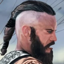 VIKINGS AT WAR 1.3.5