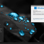 Screenshot #4 - Windows 11 Compact 23H2 22631.3007 by Flibustier